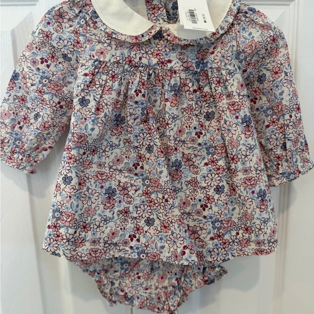 Janie and Jack Floral Peter Pan Collar Dress in Pink, Blue, White